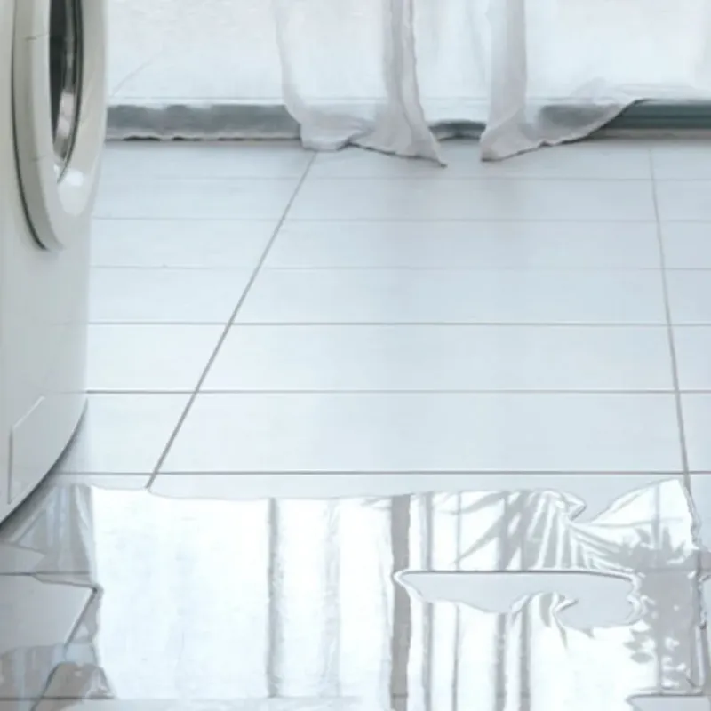 Appliance Leak Cleanup in Delta County, MI