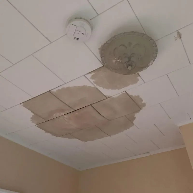 Ceiling Water Damage Repair in Delta County, MI