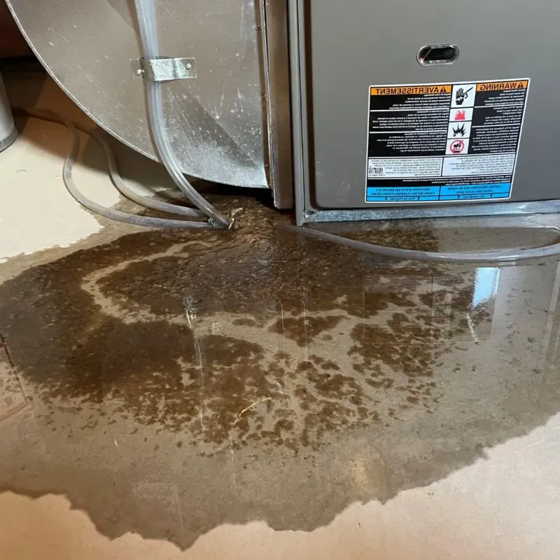 Pipe Burst and Leak Restoration in Delta County, MI